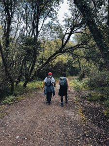 walking coach sessions with Judy Sunasky