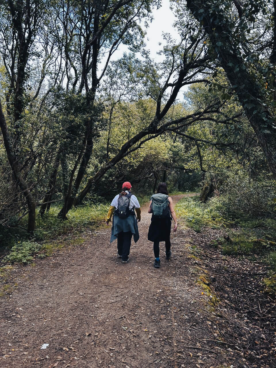 walking coach sessions with Judy Sunasky